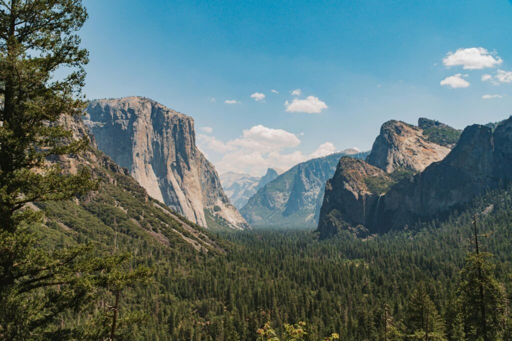 Majestic Yosemite Valley landscape with towering cliffs under a clear summer sky.